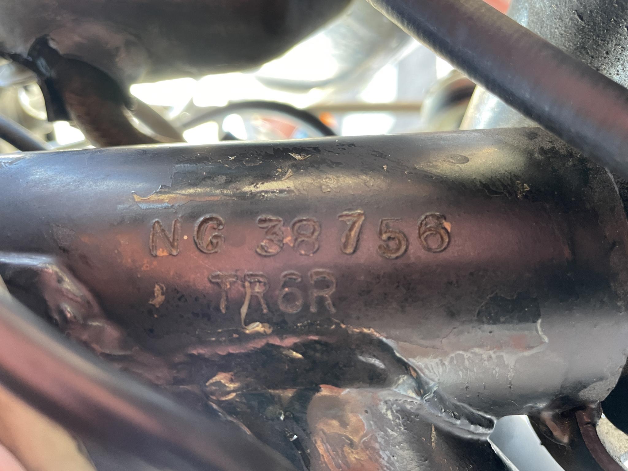 ハーレー Triumph TR6R 車体写真12