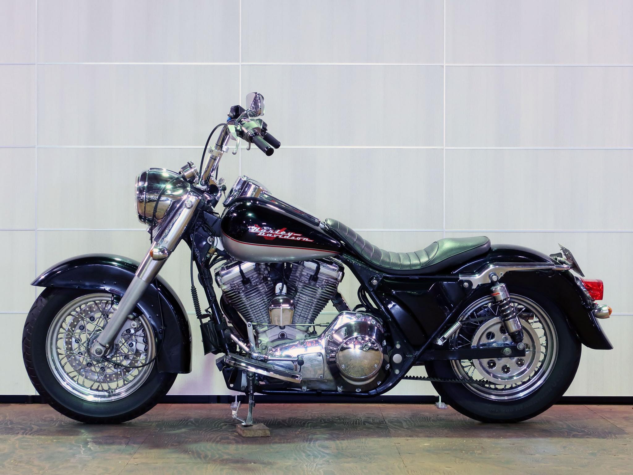 ハーレーダビッドソン・FLHTCU Custom 写真4