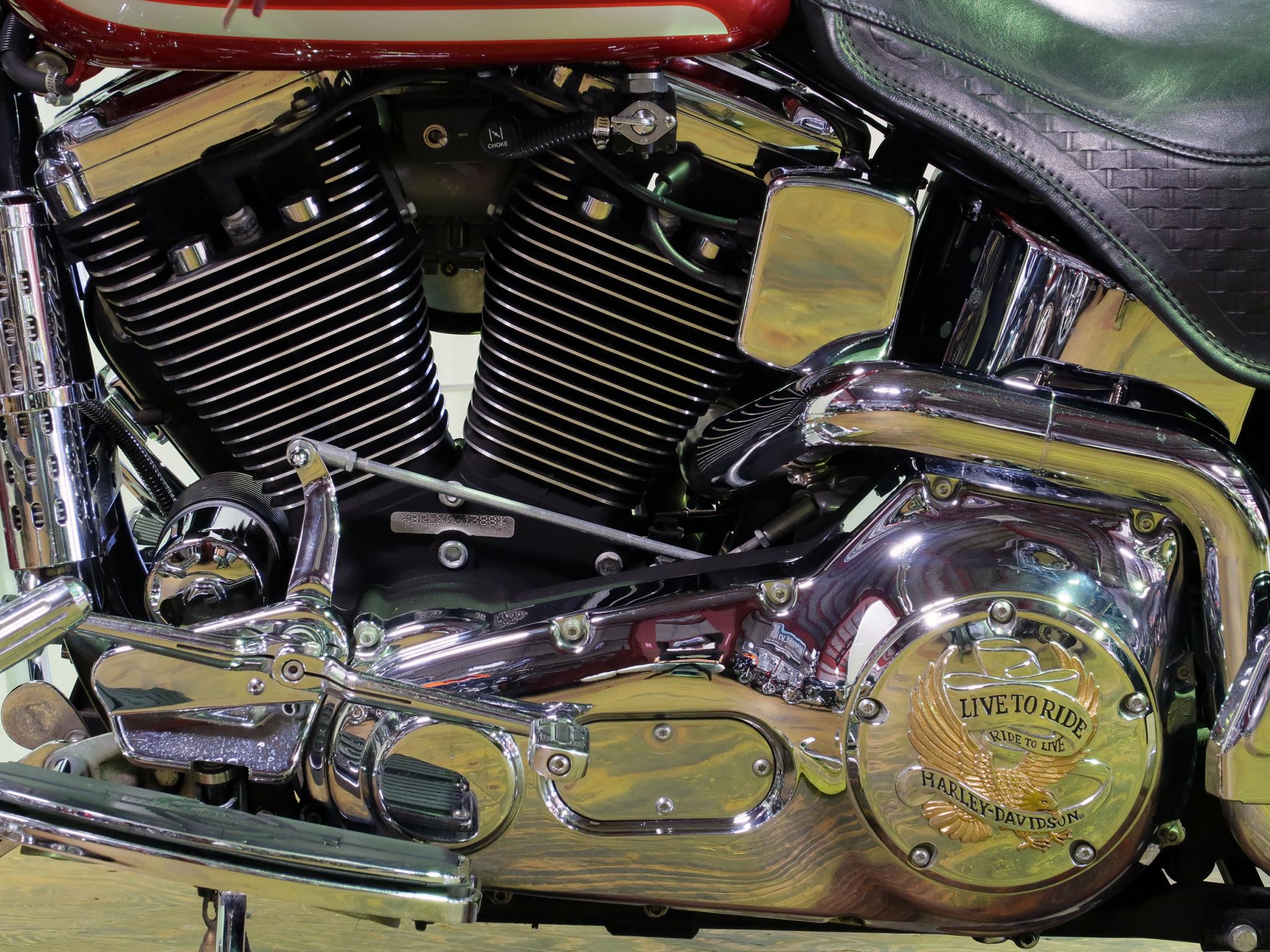 ハーレー FLSTS Heritage Springer 車体写真8