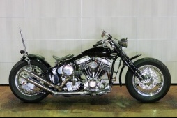 中古車 2014  Rodeo Bison 200