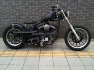 :ż:Ridgid Evo:カスタム
