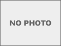 販売済:中古車1977 XLCR 1000:shovel