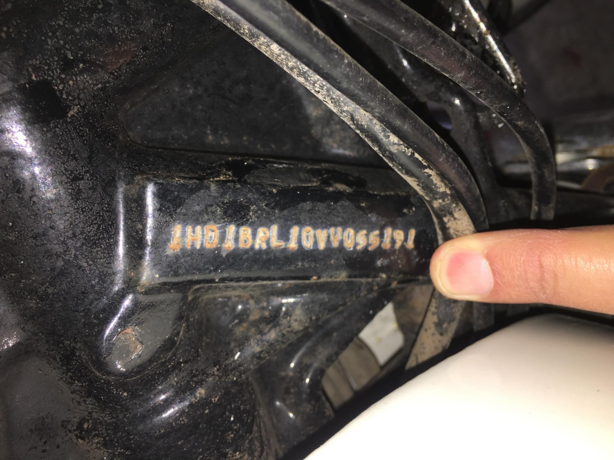 ハーレー FLSTS Heritage Springer 車体写真7