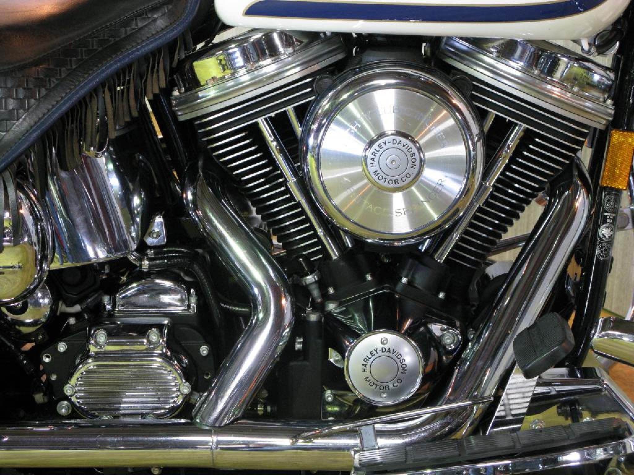 ハーレー FLSTS Heritage Springer 車体写真7