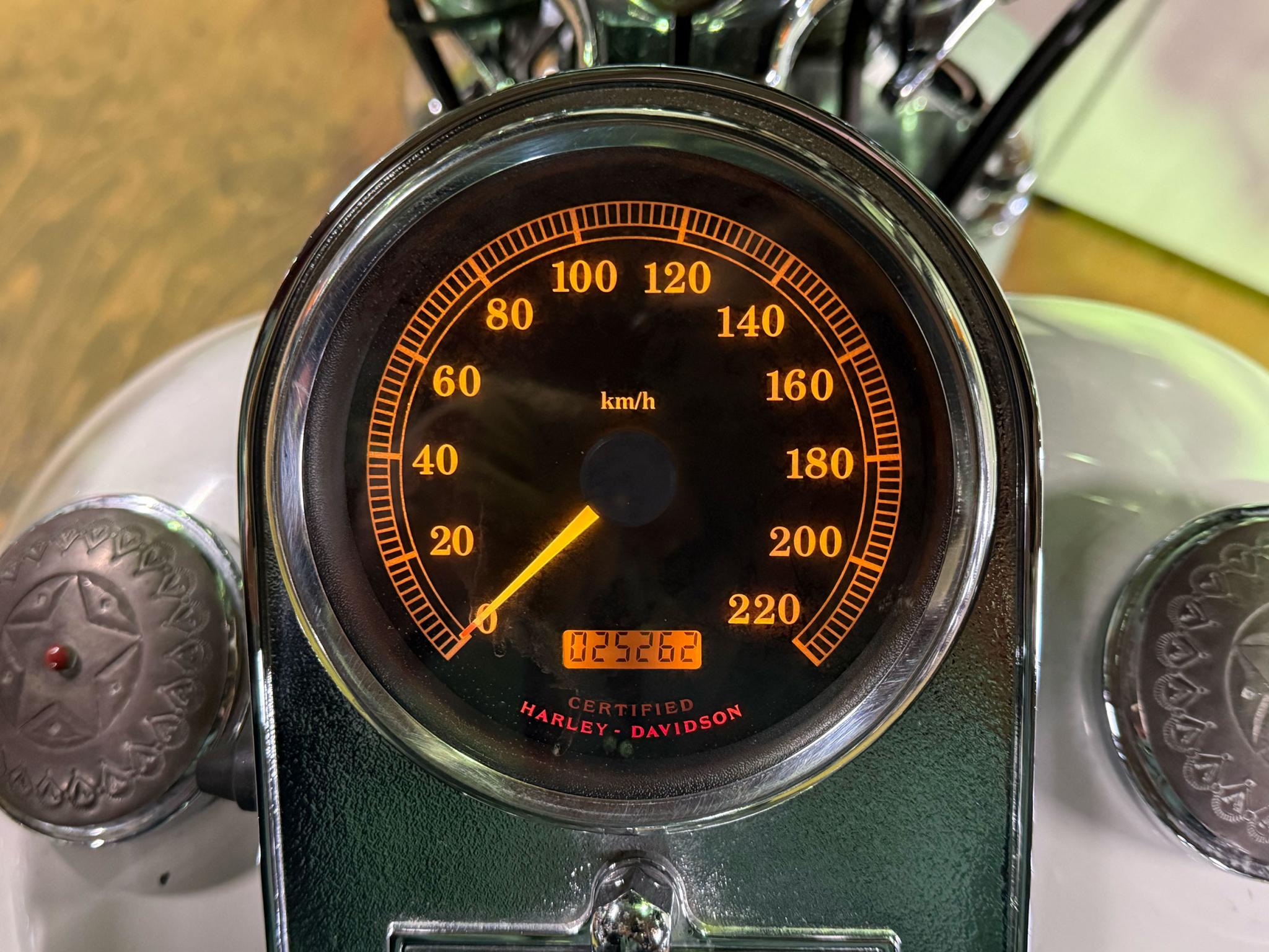 ハーレー FLSTS Heritage Springer 車体写真9