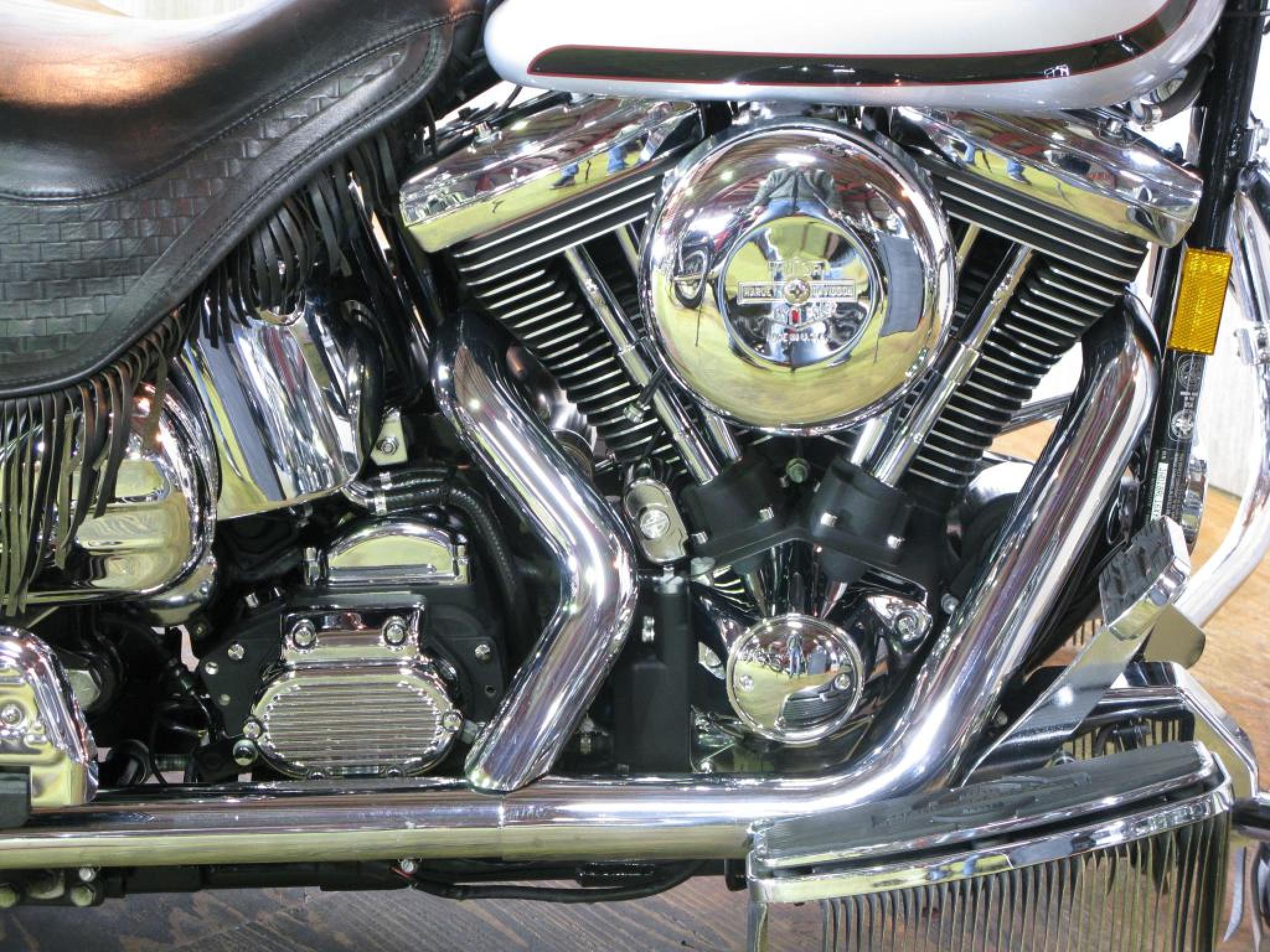 ハーレー FLSTS Heritage Springer 車体写真7