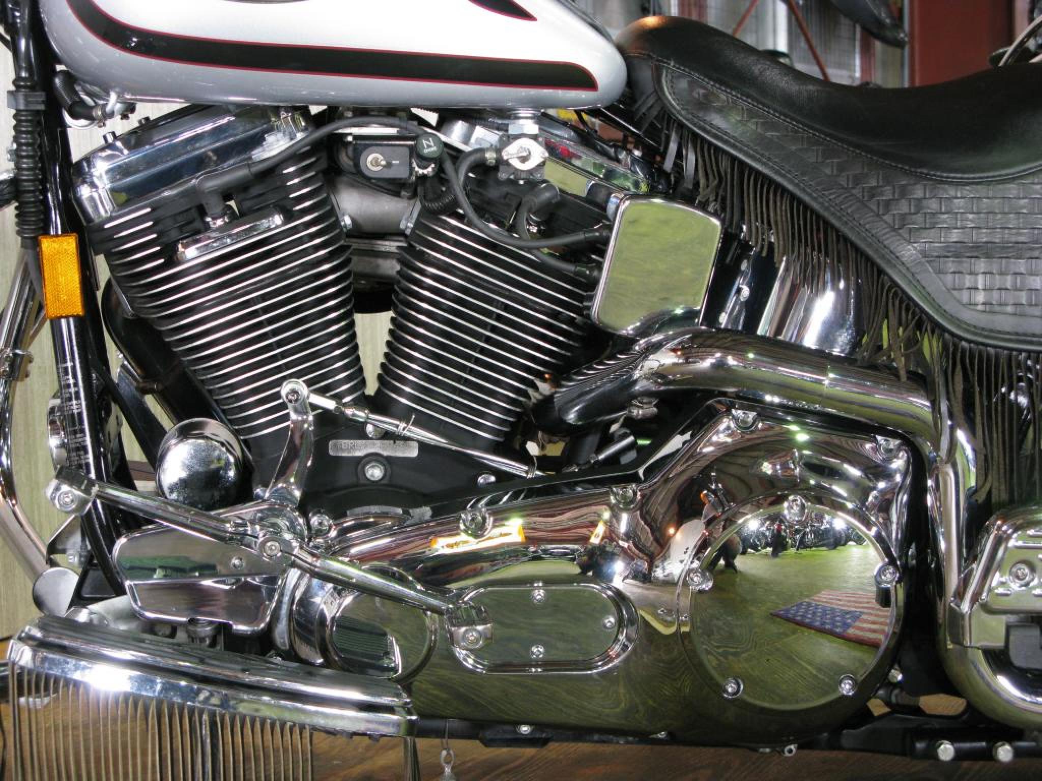 ハーレー FLSTS Heritage Springer 車体写真8