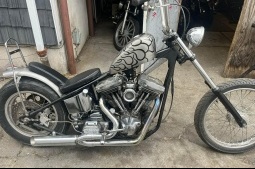 ハーレー・ダビッドソン  中古車:EVO Custom