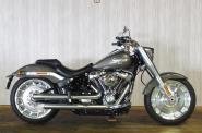 販売済:中古車:2018 FLFBS:others