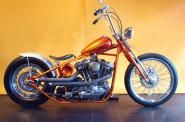 販売済:中古車:1994 Ridgid Evo Sports Star:カスタム